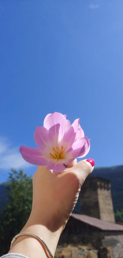 Ailama Guesthouse メスティア エクステリア 写真